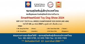 SmartHeartGold Toy Dog Show 2024